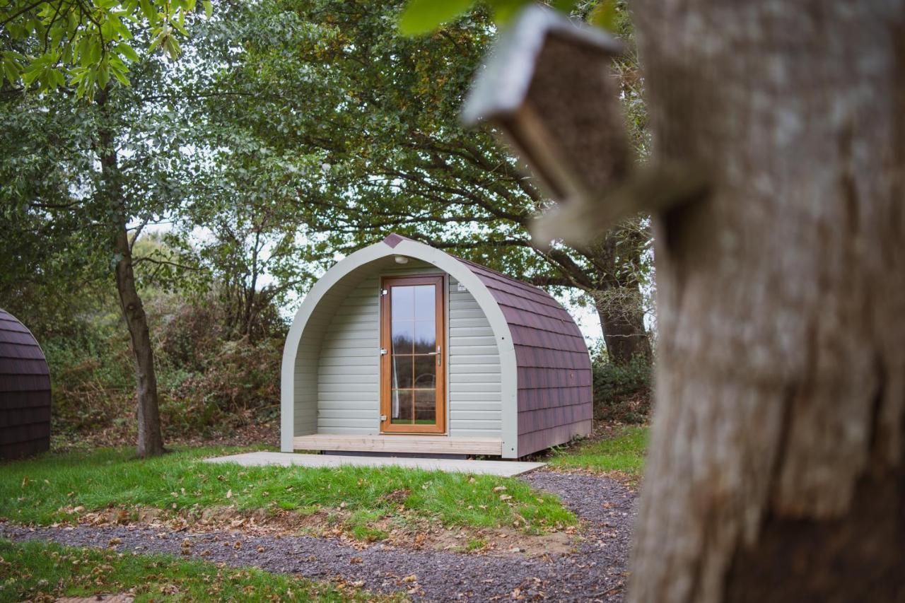 Chestnut Meadow Country Park Sidley Exterior foto
